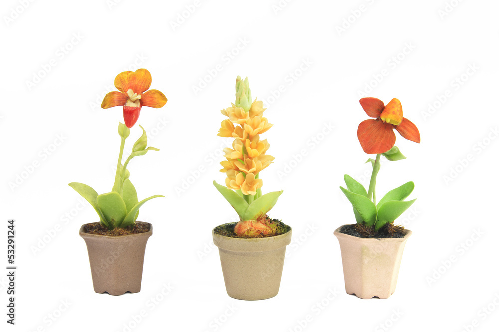 various flower in flowerpot various flower in flowerpot