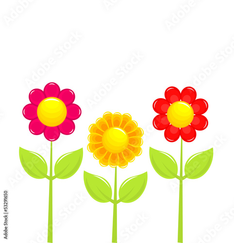 Fototapeta Naklejka Na Ścianę i Meble -  Flowers