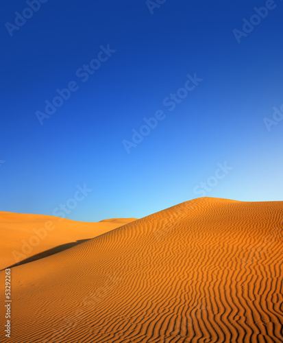 evening desert