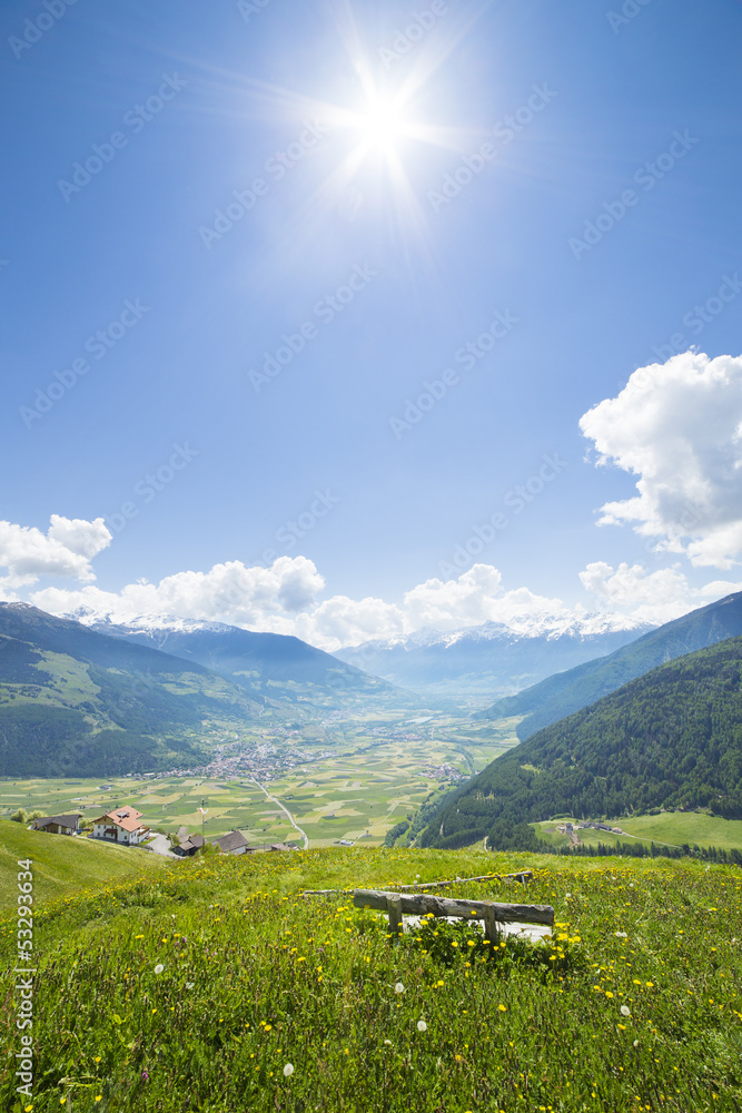 Idyllic bench in a green meadow in the alps