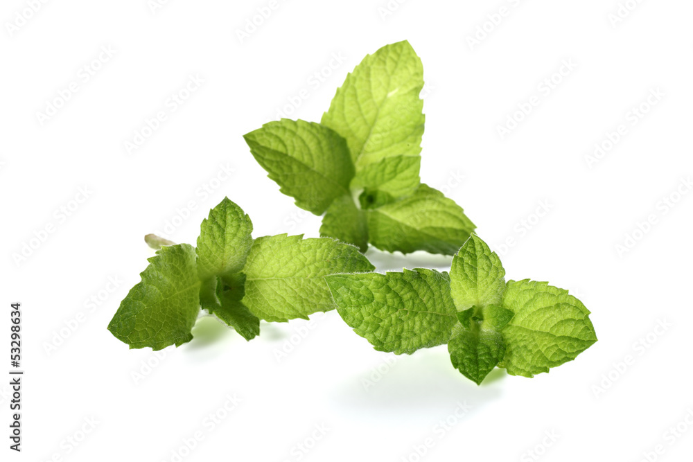 mint decoration mint decoration