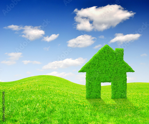Green grass house symbol on meadow