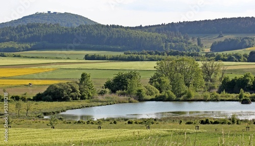 Fototapeta Naklejka Na Ścianę i Meble -  Das Naturschutzgebiet Glockenborn an der Weidelsburg