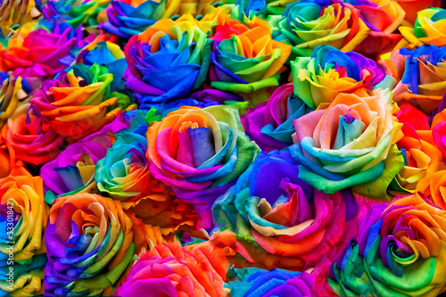A bouquet of rainbow roses.