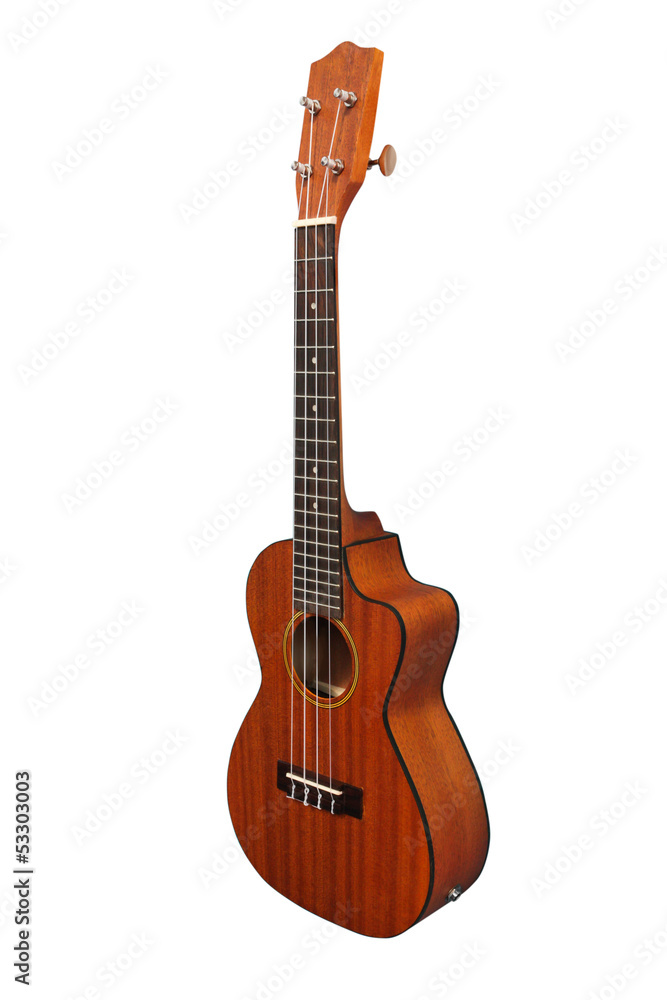guitar isolated guitar isolated