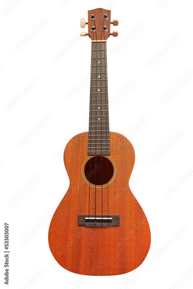 Fototapeta premium guitar isolated