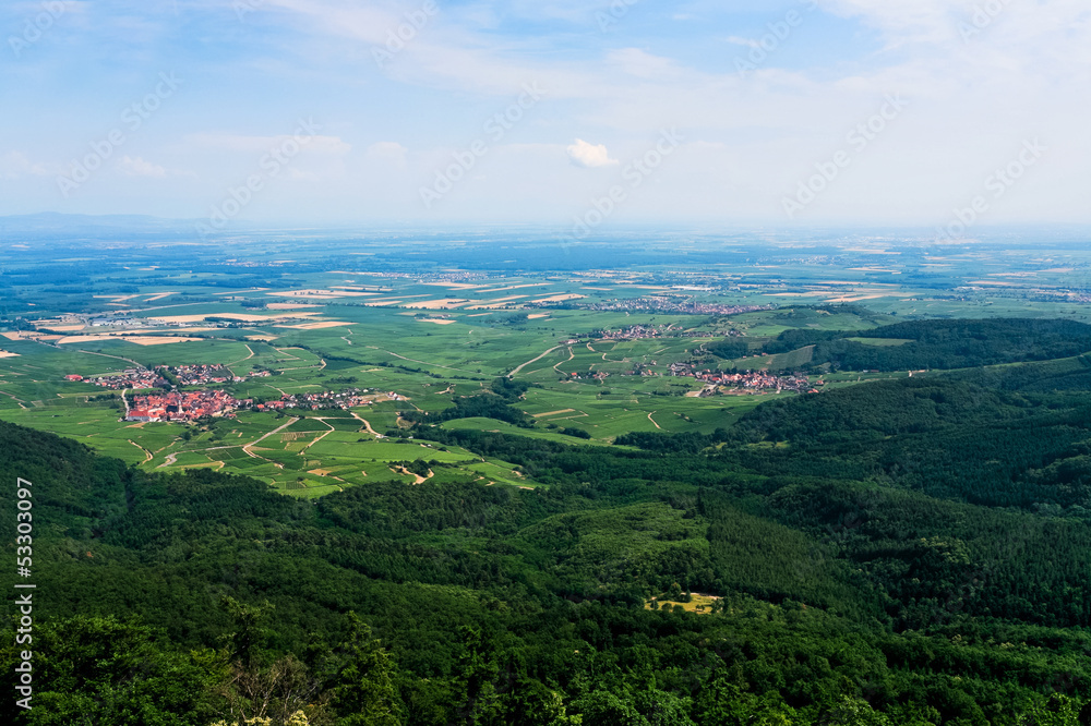 aerial view of green Alsace lands
