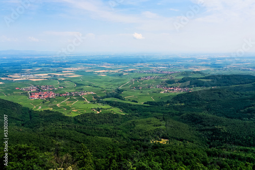 Fototapeta Naklejka Na Ścianę i Meble -  aerial view of green Alsace lands