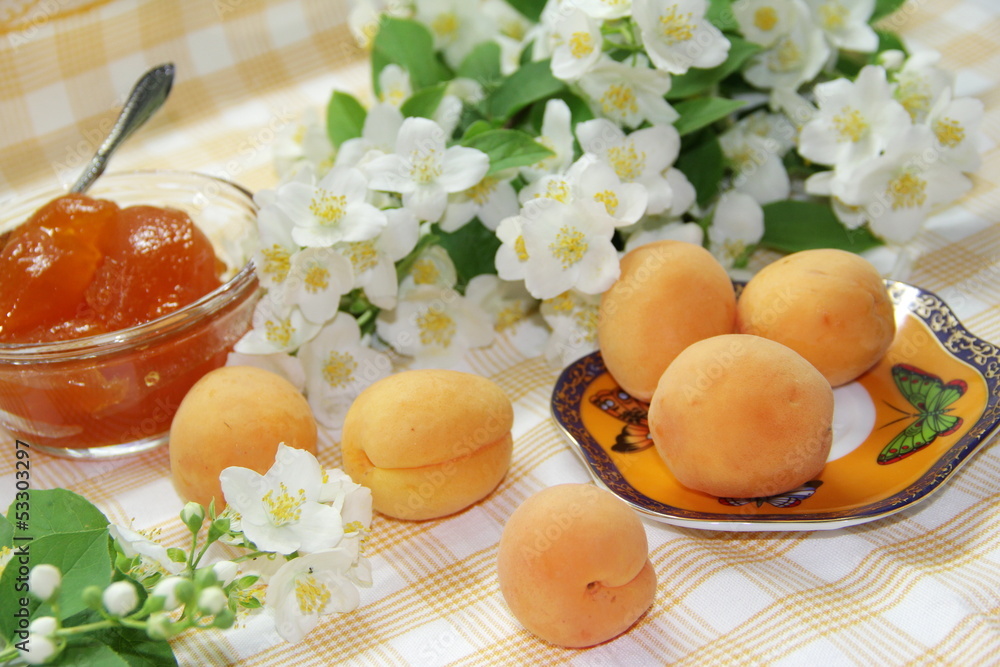Apricot jam and ripe apricots Apricot jam and ripe apricots