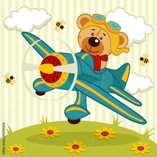 teddy bear pilot