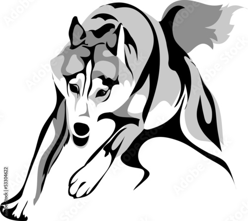 Vector stylized image of a wolf attacking