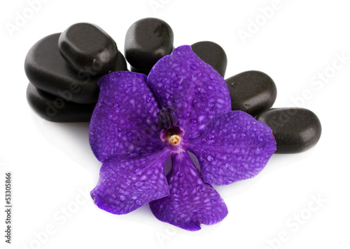 Fototapeta Naklejka Na Ścianę i Meble -  Spa stones and purple flower, isolated on white