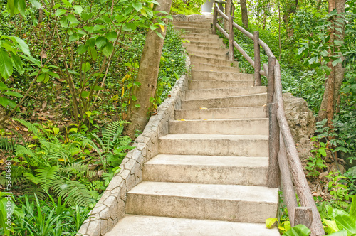 Stairway in the jungle © yotrakbutda