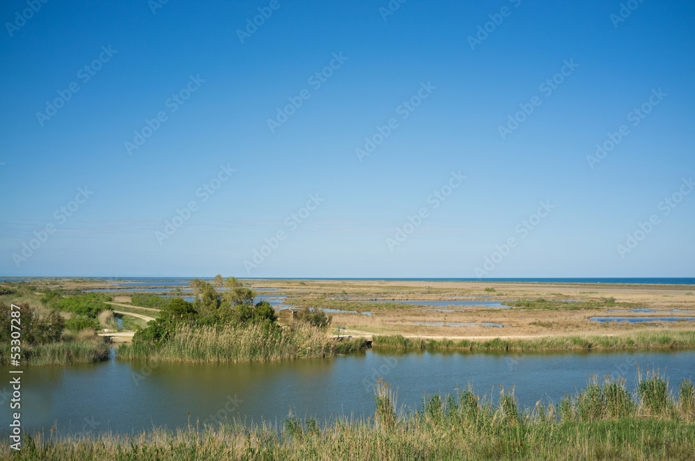 Ebro delta landscape