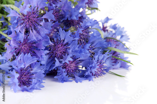 Beautiful bouquet of cornflowers  isolated on white