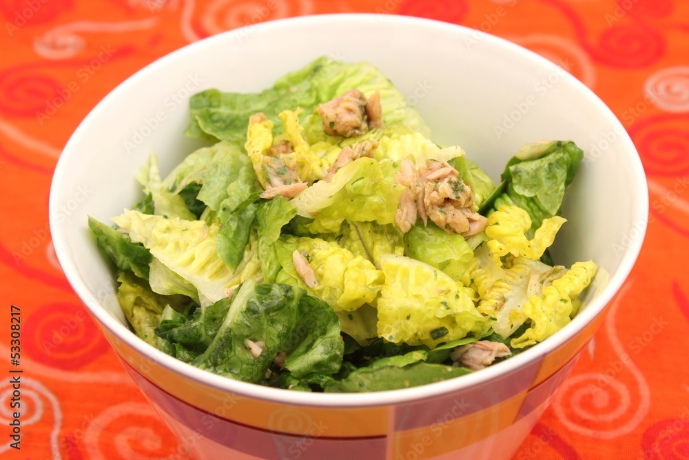 frischer Salat frischer Salat