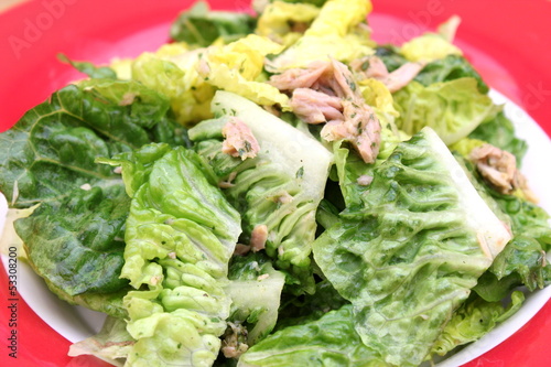 Salat mit Thunfisch
