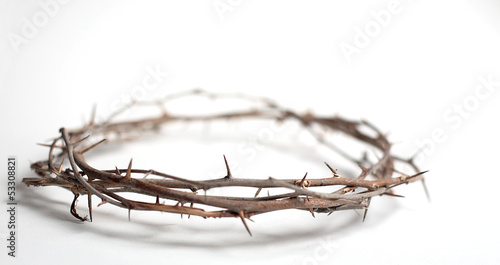 Leinwand Poster Crown of Thorns