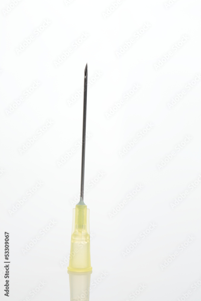 Needle