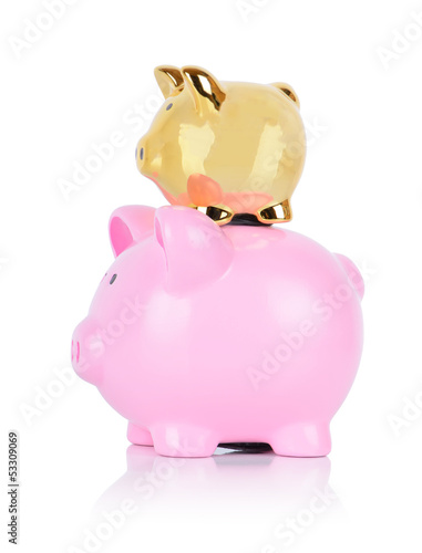 gold pig on top