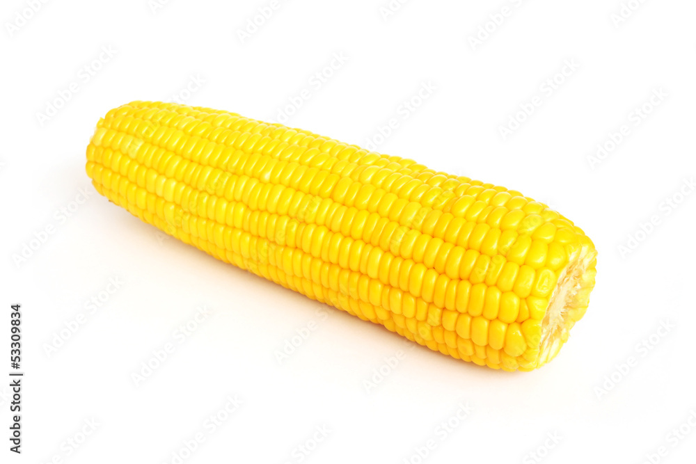Sweet boiled corn on white background Sweet boiled corn on white background