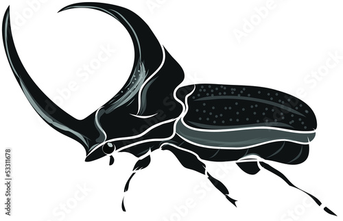 Beetle Silhouettes