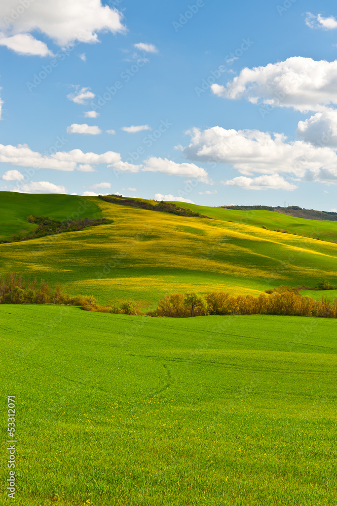 Obraz premium Tuscany Hills