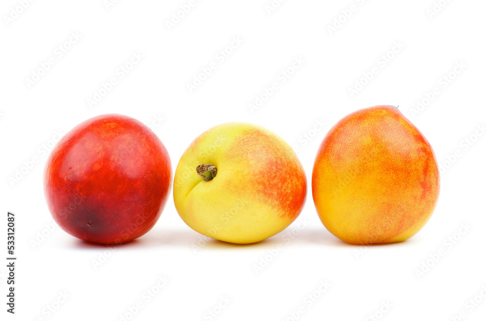 Three Nectarines Three Nectarines