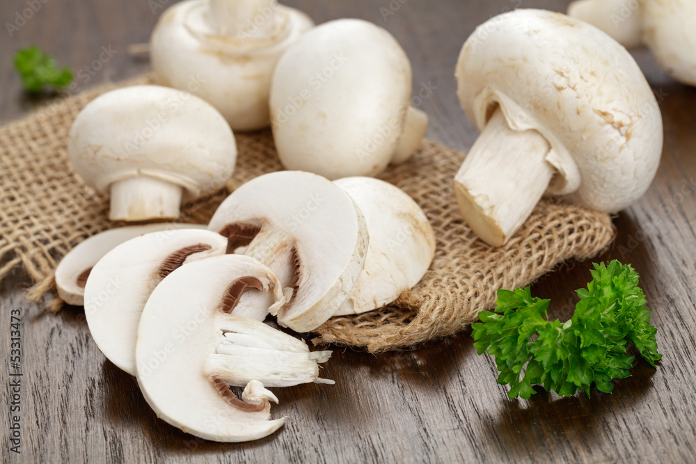 Champignons Champignons