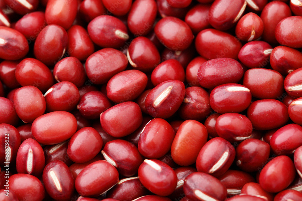 Red Bean Adzuki close up Red Bean Adzuki close up
