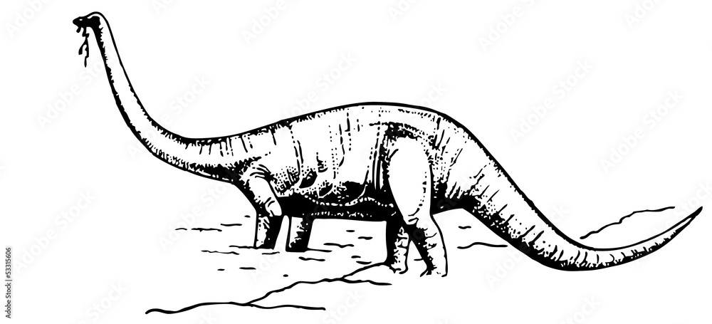 Dragon standing in the water and eating Dragon standing in the water and eating