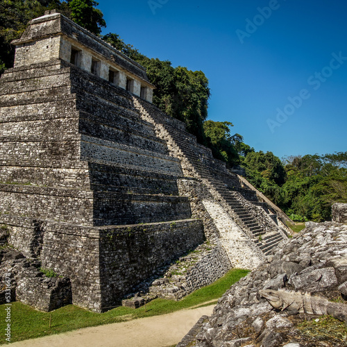 temple de palenque 5 vue de haut avec iguane photo