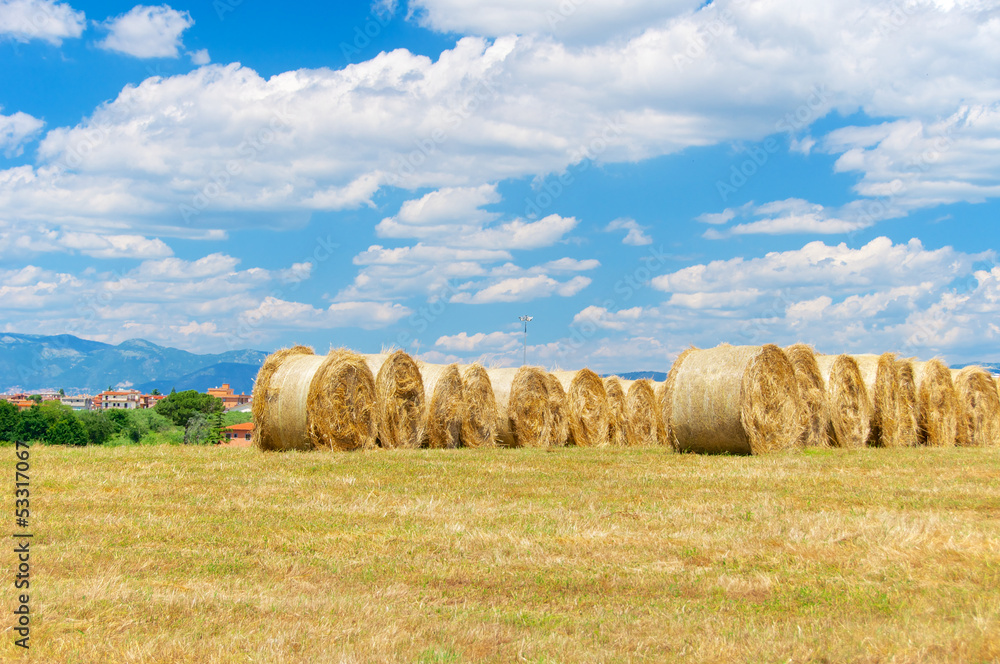 Hay bales, Roman Countryside, Italy