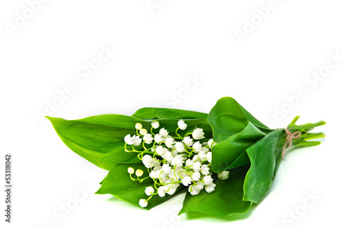 Bunch of white flowers of Lily of the Valley with a few leaves