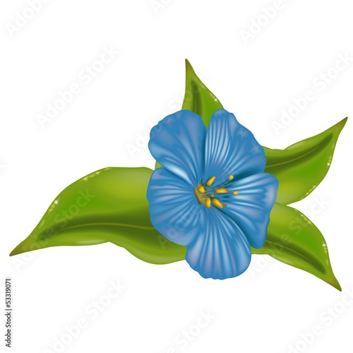Blue Flower with Leafs
