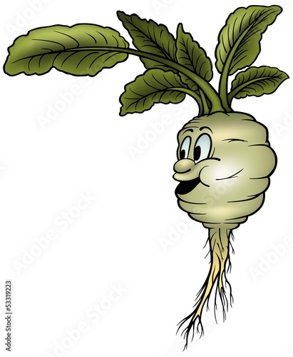 Kohlrabi