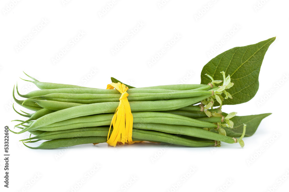 Green beans isolated_VI Green beans isolated_VI
