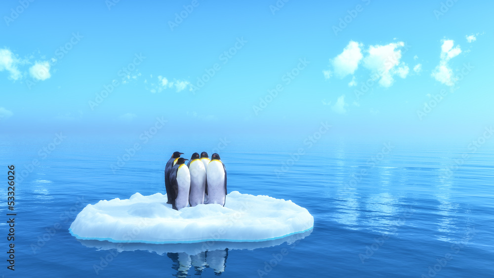penguins - obrazy, fototapety, plakaty 