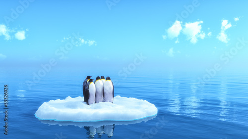 Photography penguins