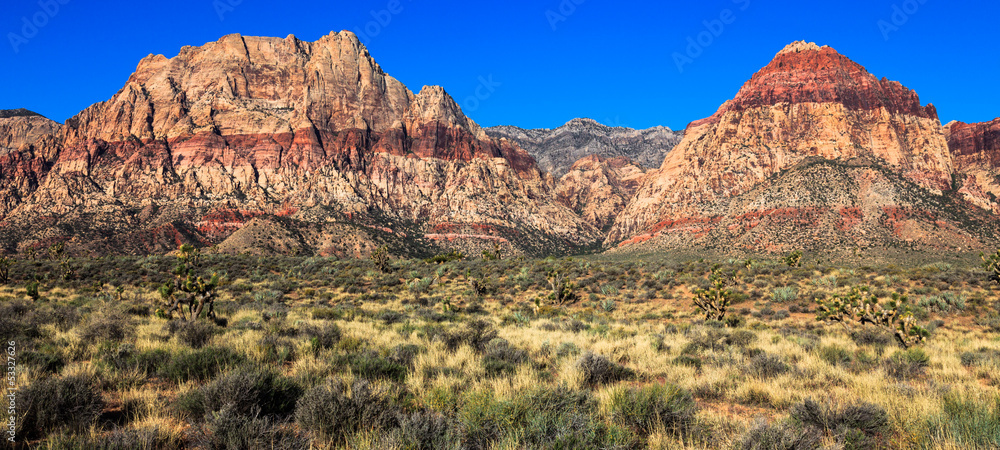 Naklejka premium Red Rock Canyon Pano