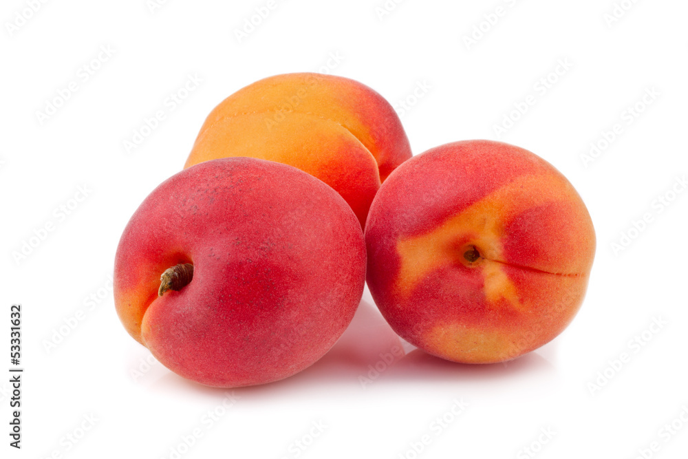 fresh apricots isolated on white background fresh apricots isolated on white background