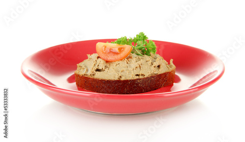 Toasted bread with pate on color plate, isolated on white