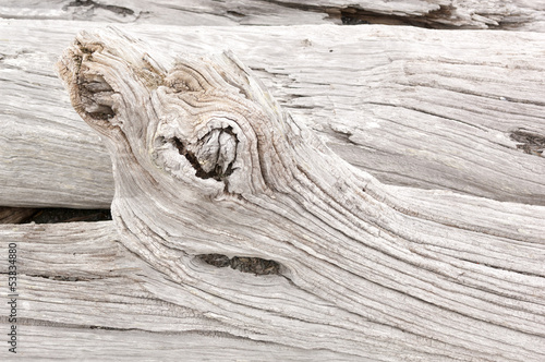 Driftwood