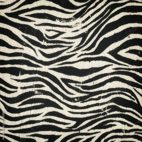 Vintage zebra seamless pattern