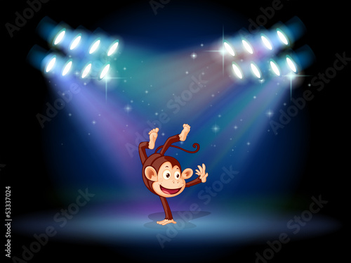 A monkey dancing at the center of the stage