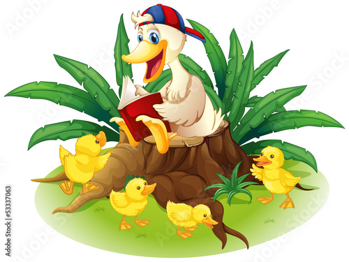 A duck reading on a stump with her ducklings