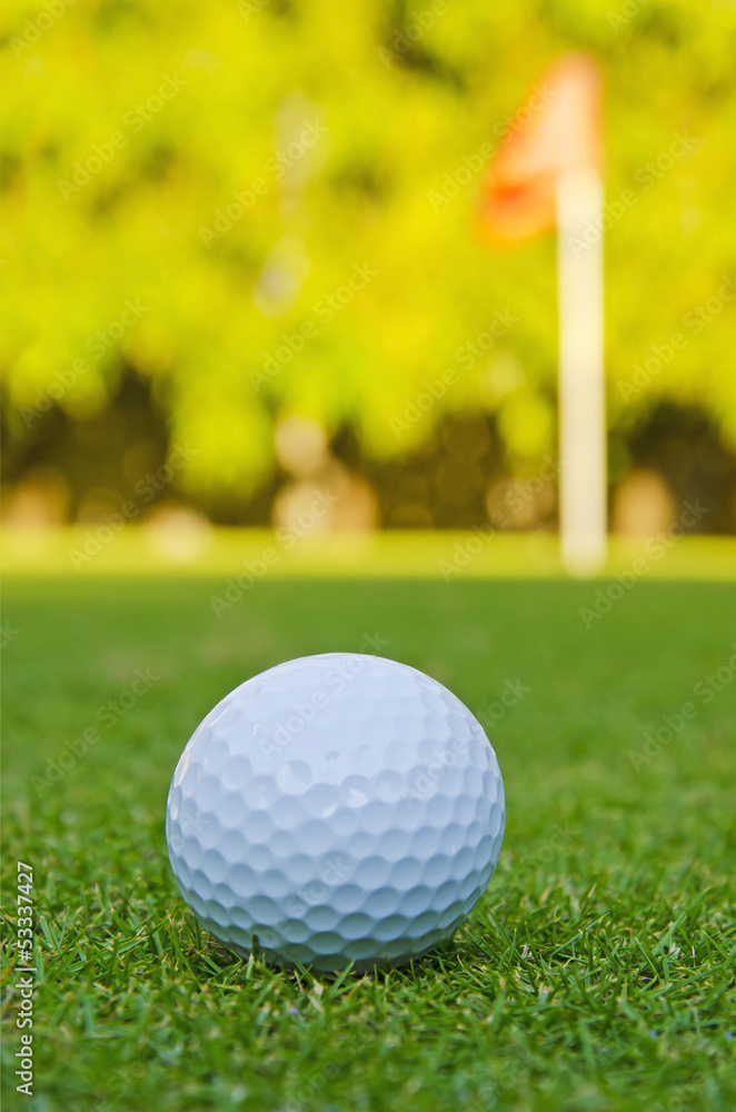 Obraz premium golf ball and flag
