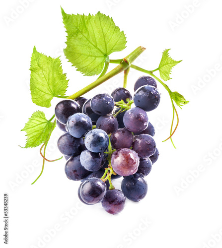 Ripe dark grapes with leaves on white background