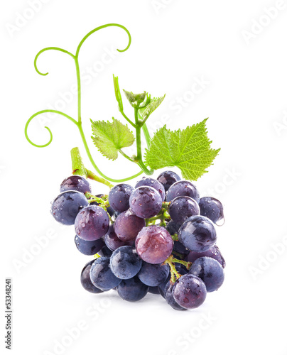 Obraz na plátně Ripe dark grapes with leaves on white background