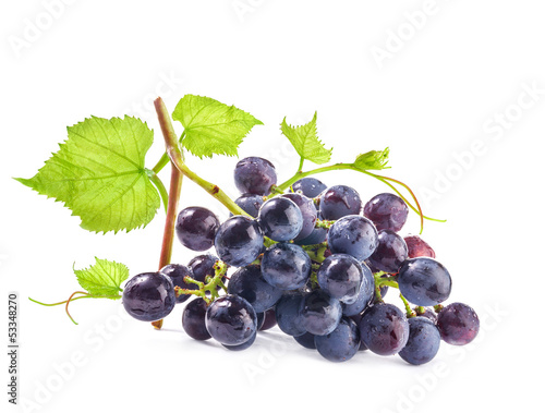 Ripe dark grapes with leaves on white background